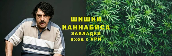 ПСИЛОЦИБИНОВЫЕ ГРИБЫ Богданович